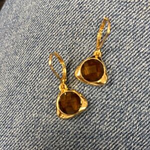 Elegant Gold and Brown leverback Earrings
